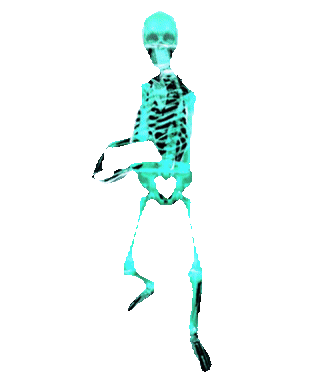 11 Dying Chickens player model